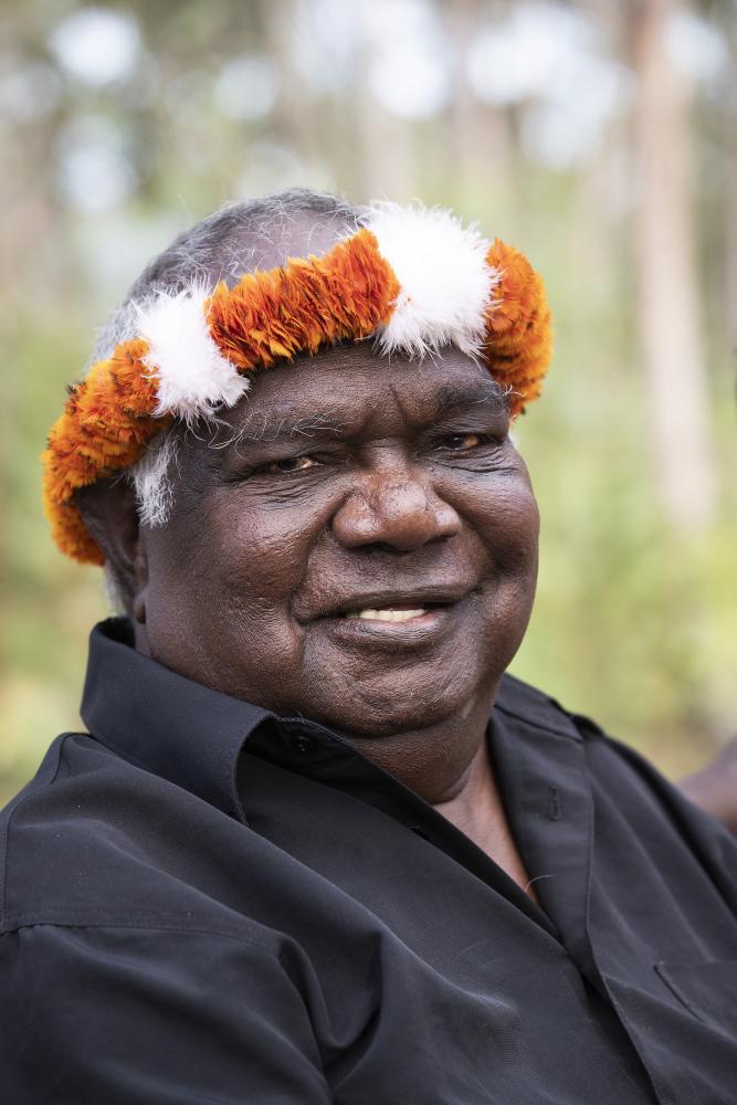 Image of Yunupingu by Peter Eve, Yothu Yindi Foundation