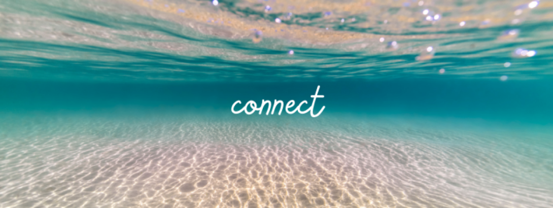 connect